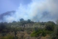 Υπό έλεγχο η φωτιά στην Άνω Βασιλική [Video & Photos]