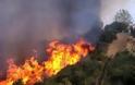 Ανεξέλεγκτη παραμένει η πυρκαγιά στην Τραχυπέδουλα της Πάφου – Συνελήφθη 35χρονος – Μάχη με τις φλόγες δίνουν πτητικά μέσα και πυροσβεστικά οχήματα