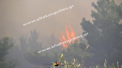 Φωτορεπορτάζ – Η φωτιά που καίει εκ νέου τα σωθικά της Ρόδου - Φωτογραφία 10