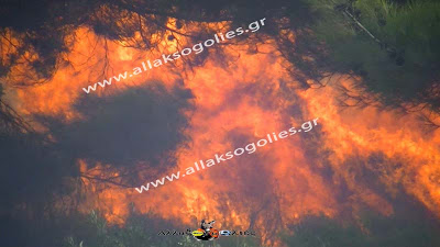 Φωτορεπορτάζ – Η φωτιά που καίει εκ νέου τα σωθικά της Ρόδου - Φωτογραφία 14