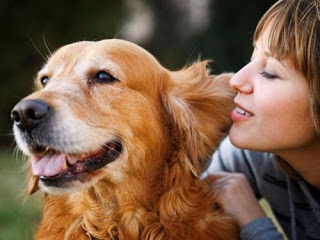 ΗΠΑ: Σκύλοι μυρίζουν... καρκίνο ωοθηκών! - Φωτογραφία 1