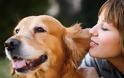 ΗΠΑ: Σκύλοι μυρίζουν... καρκίνο ωοθηκών!
