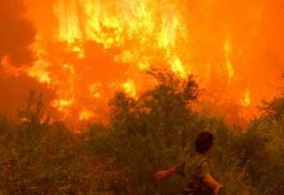 Πάτρα: Μεγάλη φωτιά στην Άνω Καλλιθέα στην περιοχή Άγιος Γεώργιος - Eπιχειρούν και εναέρια μέσα - Φωτογραφία 1
