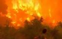 Πάτρα: Μεγάλη φωτιά στην Άνω Καλλιθέα στην περιοχή Άγιος Γεώργιος - Eπιχειρούν και εναέρια μέσα