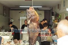 Πρέβεζα: Μεζές 20 κιλών τραβάει από το πρωί τα βλέμματα των περαστικών [video]