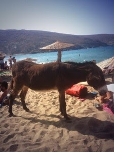 O Λιάγκας απαντά σε Γκαγκάκη και στους κριτές του: «Υπάρχουν κάτι γαϊδούρια…» - Φωτογραφία 2