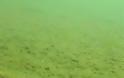 Video και φώτο απο τον βυθό της λίμνης Γκιστόβα, Γράμμος Καστοριάς