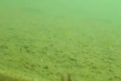 Video και φώτο απο τον βυθό της λίμνης Γκιστόβα, Γράμμος Καστοριάς