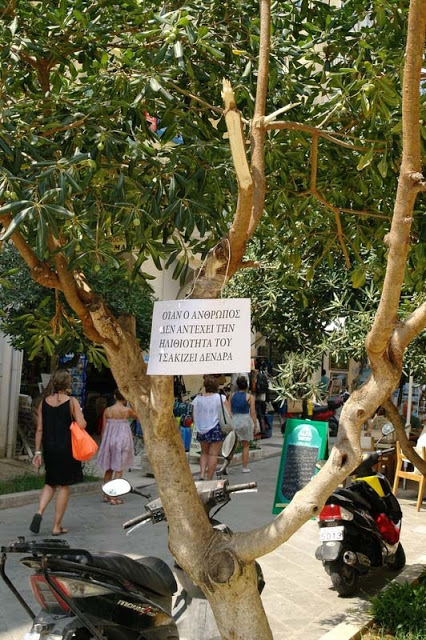Tο κλάδεμα των δημόσιων δέντρων αναλαμβάνουν ιδιώτες με αυτό τον τρόπο... - Φωτογραφία 2