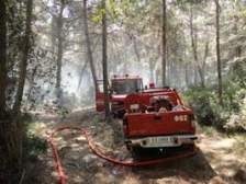 Πάτρα: Έσβησε η φωτιά στο Ζαβλάνι - Φωτογραφία 1