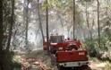 Πάτρα: Έσβησε η φωτιά στο Ζαβλάνι