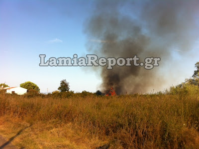 Φθιώτιδα: Οι φλόγες έγλειψαν τις αυλές σπιτιών στο Καινούργιο [Photos] - Φωτογραφία 2