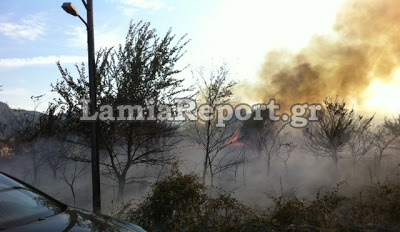 Φθιώτιδα: Οι φλόγες έγλειψαν τις αυλές σπιτιών στο Καινούργιο [Photos] - Φωτογραφία 4