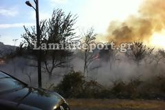 Φθιώτιδα: Οι φλόγες έγλειψαν τις αυλές σπιτιών στο Καινούργιο [Photos]