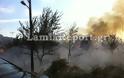 Φθιώτιδα: Οι φλόγες έγλειψαν τις αυλές σπιτιών στο Καινούργιο [Photos] - Φωτογραφία 4
