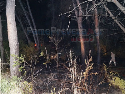 Πρέβεζα: Φωτιά στο δάσος στο Μονολίθι [Video & Photo] - Φωτογραφία 4