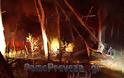 Πρέβεζα: Φωτιά στο δάσος στο Μονολίθι [Video & Photo]