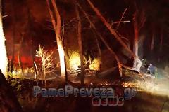 Πρέβεζα: Φωτιά στο δάσος στο Μονολίθι [Video & Photo]