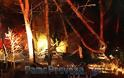 Πρέβεζα: Φωτιά στο δάσος στο Μονολίθι [Video & Photo] - Φωτογραφία 3
