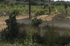 Πού είναι θαμμένος ο Μέγας Αλέξανδρος - Tο κυνήγι για τον τάφο του μετρά πολλούς αιώνες