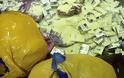 Έβρος: Έκρυβαν 400 πακέτα τσιγάρων μέσα σε σακιά με αλεύρι!