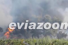 Εύβοια: Κόλαση φωτιάς στην Ριτσώνα - Η πυρκαγιά πλησιάζει στην εθνική οδό