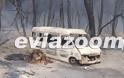 Εύβοια: Κόλαση φωτιάς στην Ριτσώνα - Η πυρκαγιά πλησιάζει στην εθνική οδό - Φωτογραφία 2