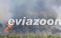 Εύβοια: Κόλαση φωτιάς στην Ριτσώνα - Η πυρκαγιά πλησιάζει στην εθνική οδό - Φωτογραφία 4
