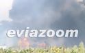 Εύβοια: Κόλαση φωτιάς στην Ριτσώνα - Η πυρκαγιά πλησιάζει στην εθνική οδό - Φωτογραφία 5
