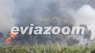 Κόλαση φωτιάς στη Ριτσώνα - Εργοστάσιο τυλίχτηκε στις φλόγες [Photos & Video] - Φωτογραφία 1