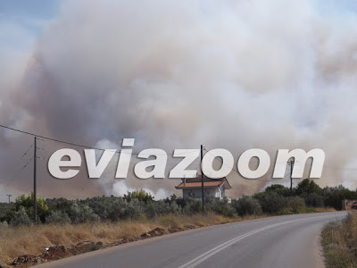 Κόλαση φωτιάς στη Ριτσώνα - Εργοστάσιο τυλίχτηκε στις φλόγες [Photos & Video] - Φωτογραφία 7