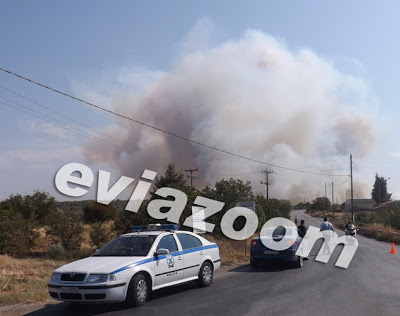Κόλαση φωτιάς στη Ριτσώνα - Εργοστάσιο τυλίχτηκε στις φλόγες [Photos & Video] - Φωτογραφία 8