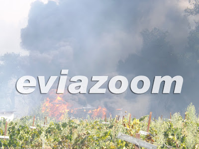 Κόλαση φωτιάς στη Ριτσώνα - Εργοστάσιο τυλίχτηκε στις φλόγες [Photos & Video] - Φωτογραφία 9