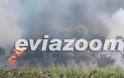 Κόλαση φωτιάς στη Ριτσώνα - Εργοστάσιο τυλίχτηκε στις φλόγες [Photos & Video]