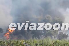 Κόλαση φωτιάς στη Ριτσώνα - Εργοστάσιο τυλίχτηκε στις φλόγες [Photos & Video]