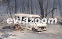 Κόλαση φωτιάς στη Ριτσώνα - Εργοστάσιο τυλίχτηκε στις φλόγες [Photos & Video] - Φωτογραφία 6