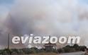 Κόλαση φωτιάς στη Ριτσώνα - Εργοστάσιο τυλίχτηκε στις φλόγες [Photos & Video] - Φωτογραφία 7
