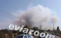 Κόλαση φωτιάς στη Ριτσώνα - Εργοστάσιο τυλίχτηκε στις φλόγες [Photos & Video] - Φωτογραφία 8