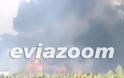 Κόλαση φωτιάς στη Ριτσώνα - Εργοστάσιο τυλίχτηκε στις φλόγες [Photos & Video] - Φωτογραφία 9