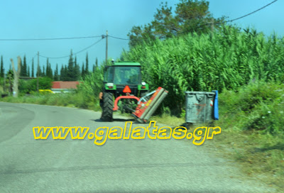 Ανεξάρτητη Δημοτική Κίνηση Ναυπακτίας: 30 μήνες δημιουργίας - Φωτογραφία 19