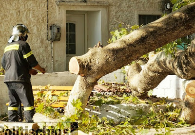 Χίος: Λύγισε αιωνόβιος πλάτανος προκαλώντας ζημιές - Φωτογραφία 6