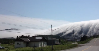 Ομίχλη-τέρας «καταπίνει» περιοχή στον Καναδά! [video] - Φωτογραφία 1