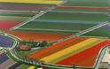 Έκρηξη χρωμάτων στα χωράφια της Ολλανδίας! - Φωτογραφία 14