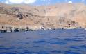 Δελφίνι εντυπωσιάζει λουόμενους στα Μάρμαρα Σφακίων [Photos] - Φωτογραφία 3