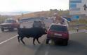 Ο μαινόμενος ταύρος και η χαοτική σκηνή σε δρόμο της Ισπανίας