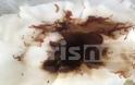 Hλεία: Tα σκουλήκια επιστρέφουν στο... νερό της Νέας Μανωλάδας