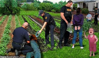 ΗΠΑ: Απαγόρευσαν σε 4χρονη να καλλιεργεί λαχανικά στο σπίτι της! - Φωτογραφία 1