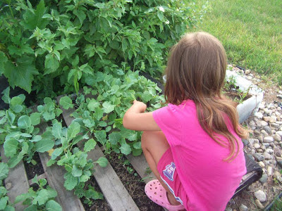 ΗΠΑ: Απαγόρευσαν σε 4χρονη να καλλιεργεί λαχανικά στο σπίτι της! - Φωτογραφία 2