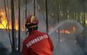 Ακόμα ένας νεκρός πυροσβέστης από τις φωτιές στην Πορτογαλία