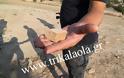 Πυροβολισμοί από αρχαιοκάπηλους εν ώρα παράνομης ανασκαφής [Video & Photos] - Φωτογραφία 7
